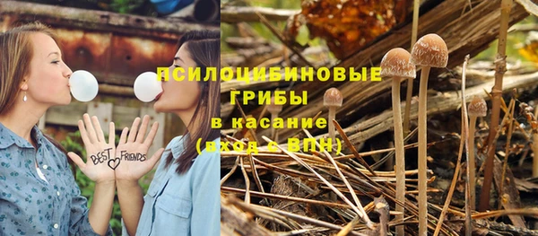 амф Касимов